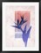 Framed Art Ombre Bird of Paradise Flower Wall Decor 18x24 Artwork